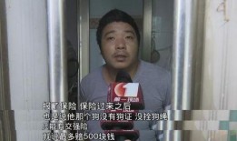 东莞黄女士最新爆料,揭秘事件背后惊人真相